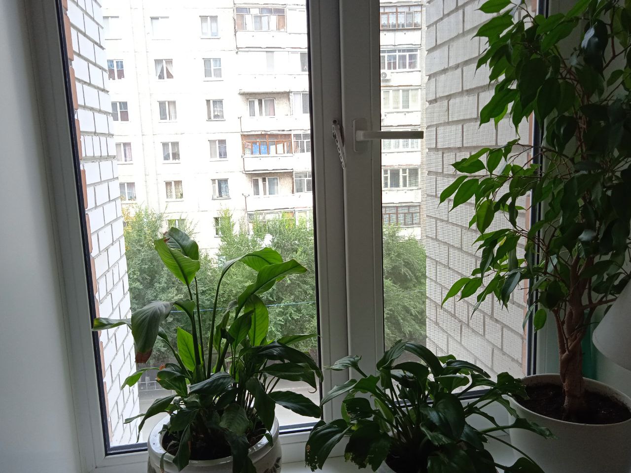 https://nevinomyssk.delaem-okna.ru/storage/app/uploads/public/63f/332/8c0/63f3328c0d6f7867060515.jpg